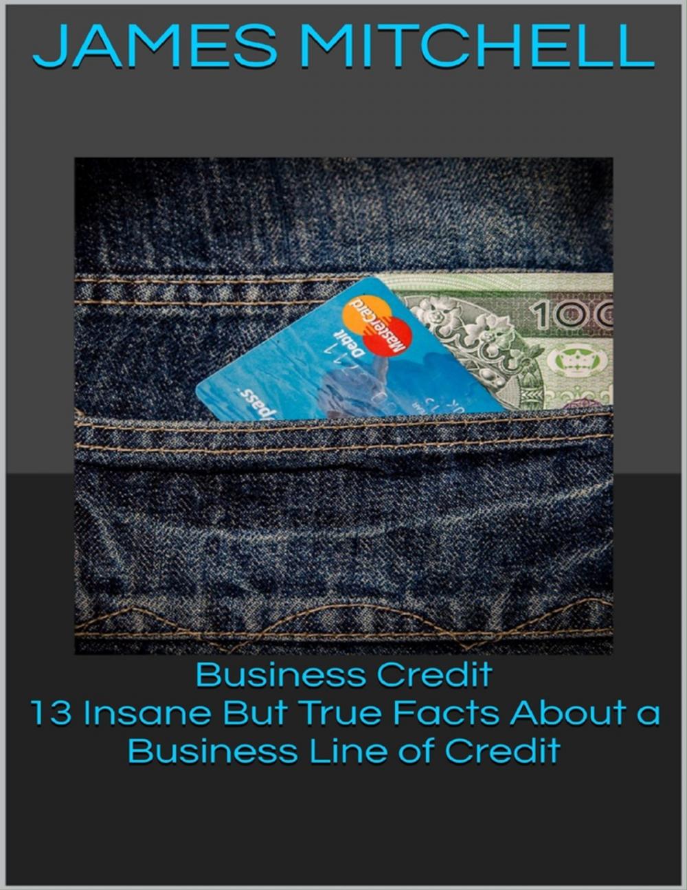 Big bigCover of Business Credit: 13 Insane But True Facts About a Business Line of Credit