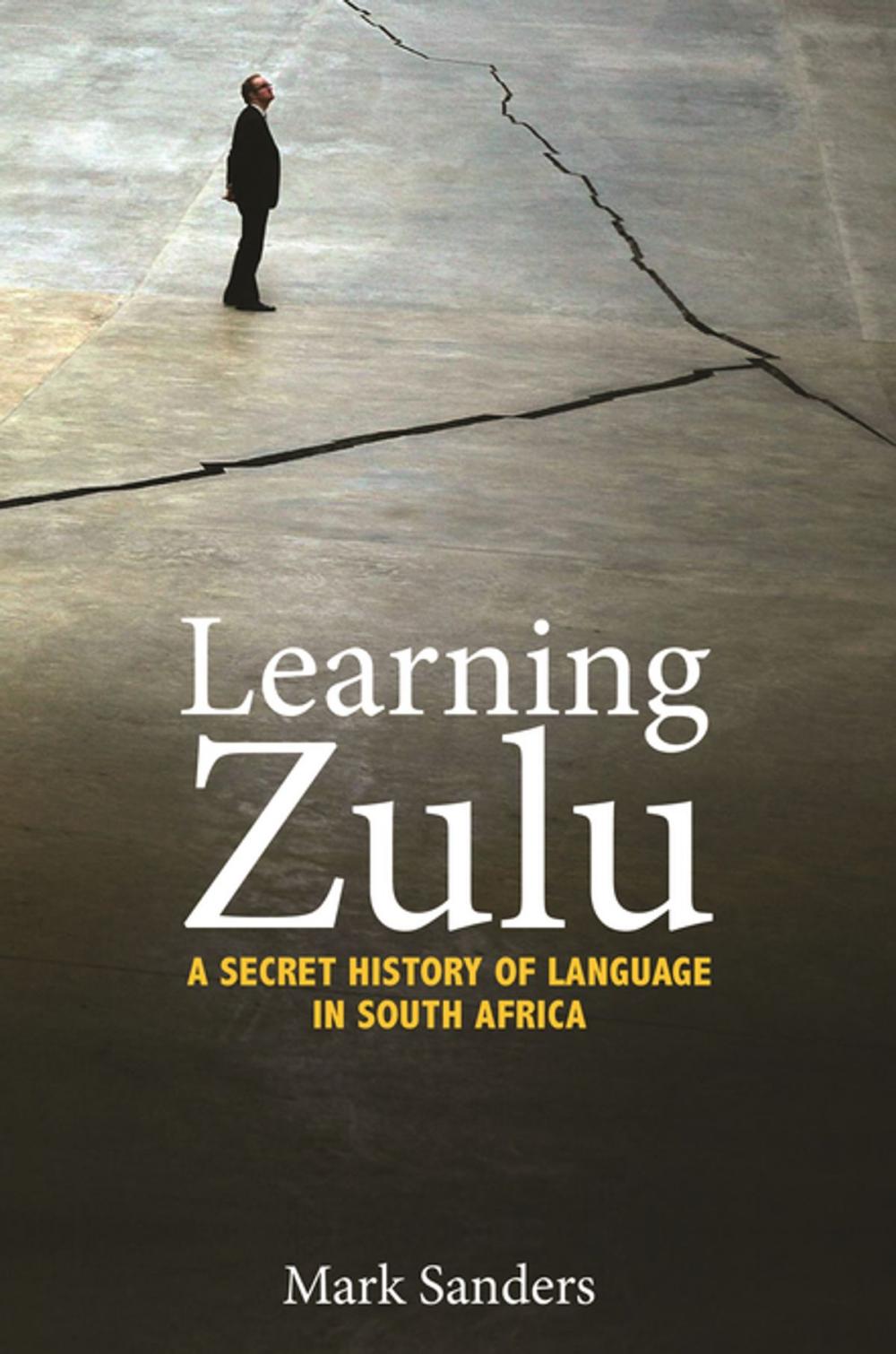 Big bigCover of Learning Zulu