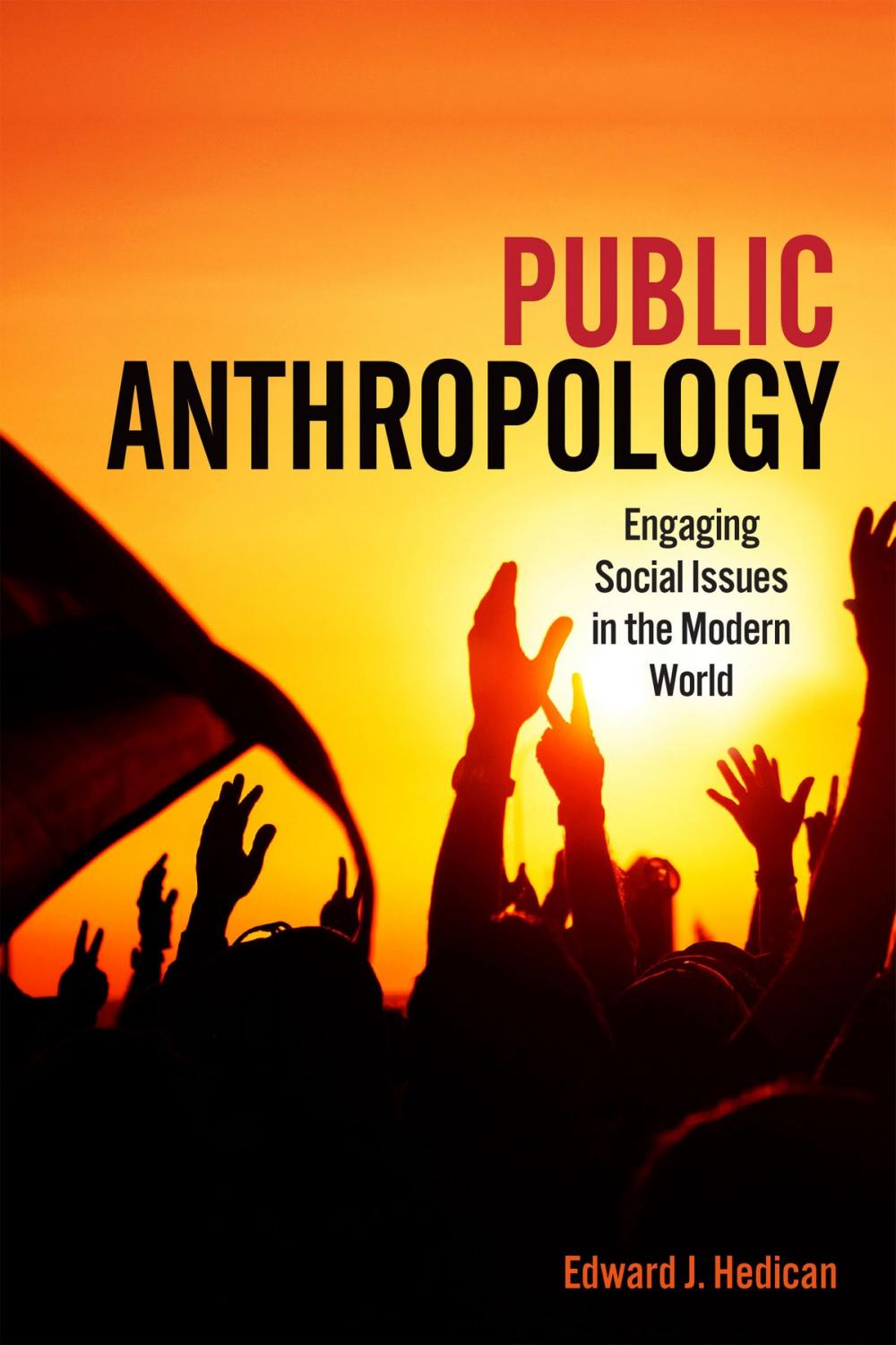 Big bigCover of Public Anthropology