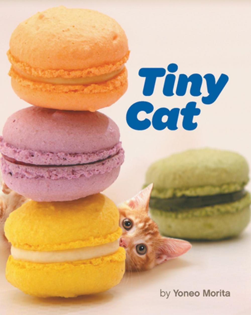 Big bigCover of Tiny Cat