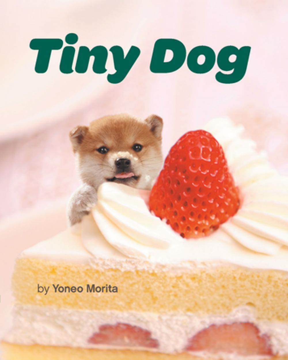 Big bigCover of Tiny Dog