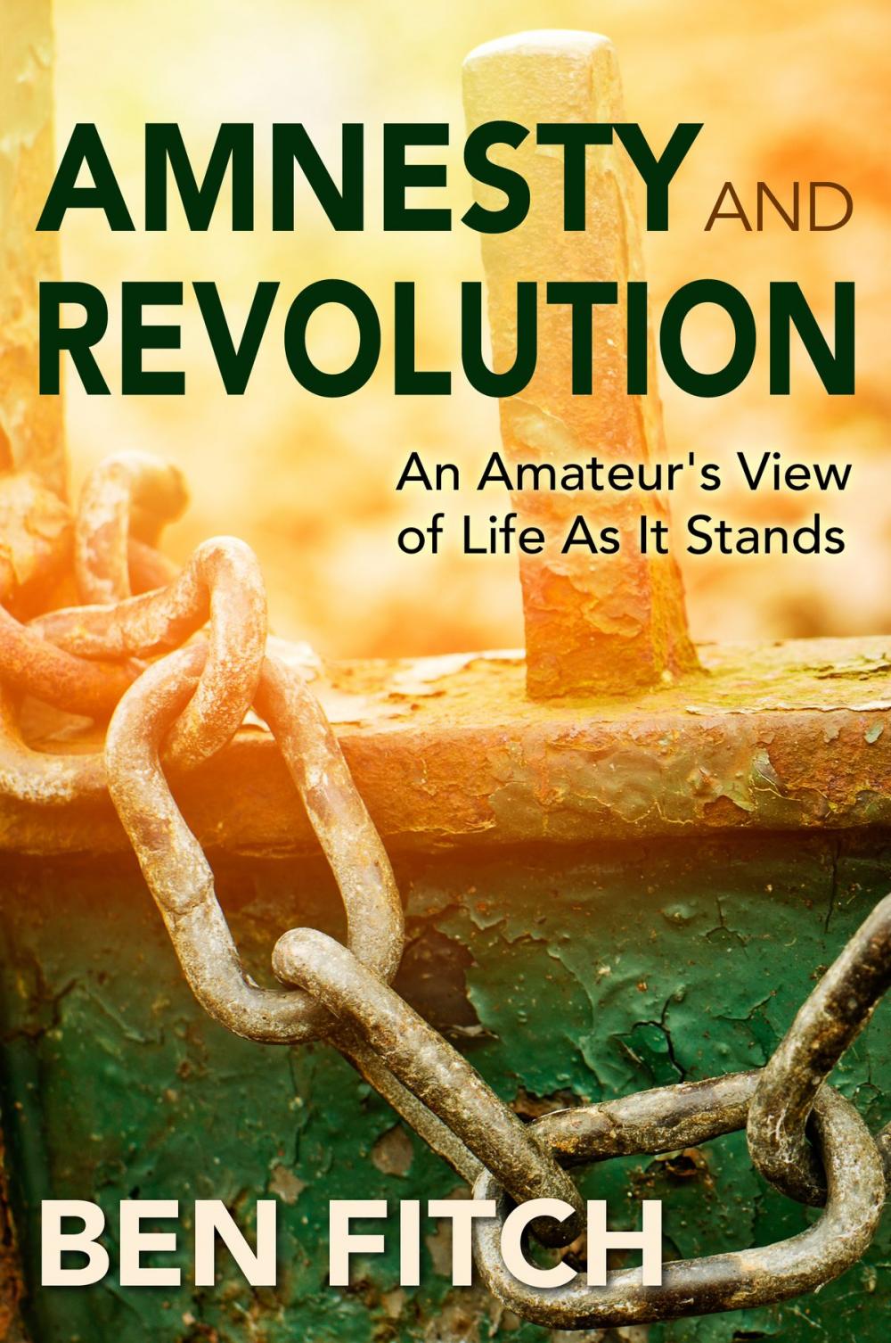 Big bigCover of Amnesty and Revolution: An Amateur's View of Life As It Stands