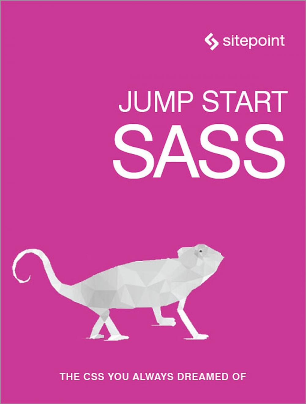 Big bigCover of Jump Start Sass