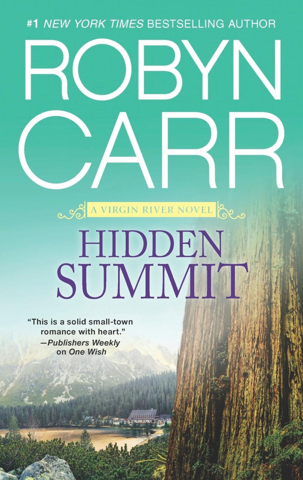 Big bigCover of Hidden Summit