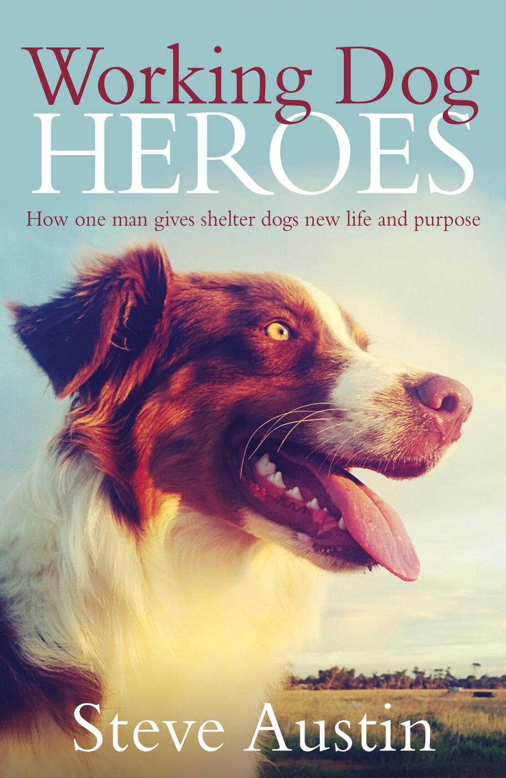 Big bigCover of Working Dog Heroes