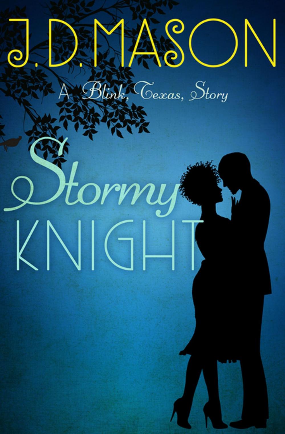 Big bigCover of Stormy Knight