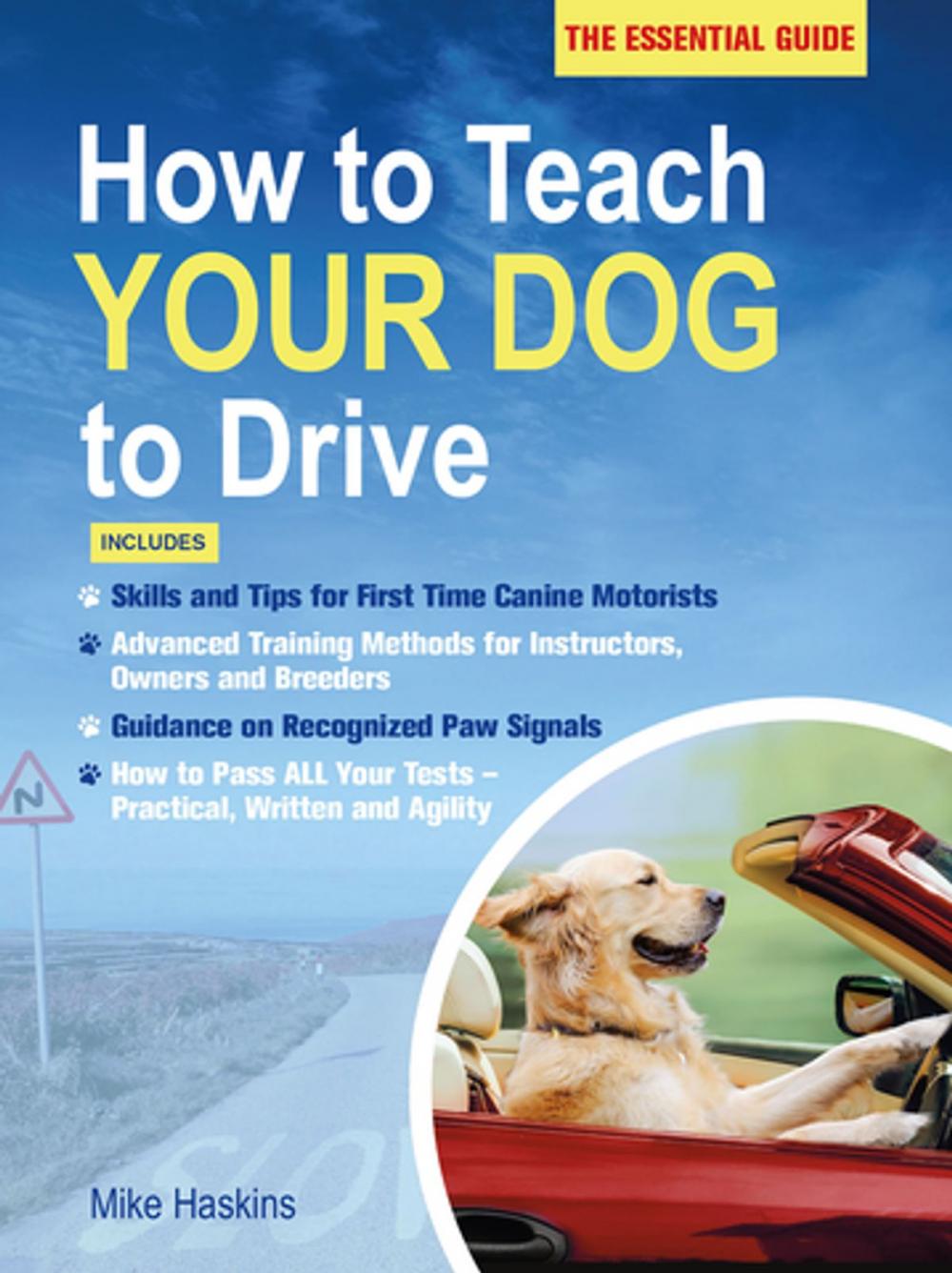 Big bigCover of How to Teach Your Dog to Drive