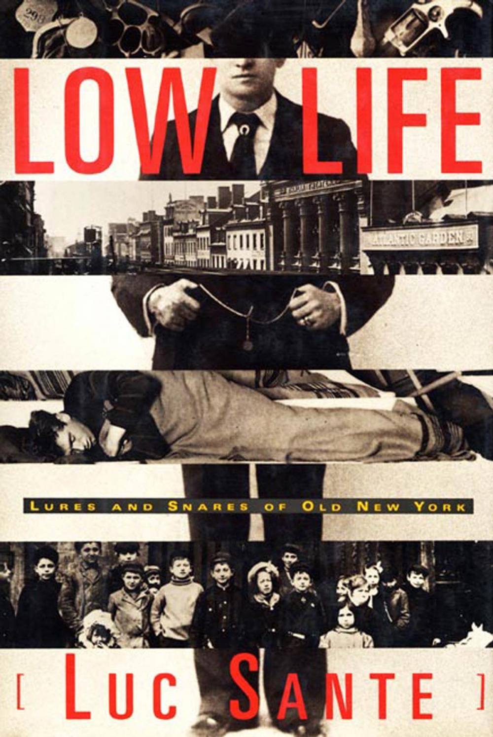 Big bigCover of Low Life