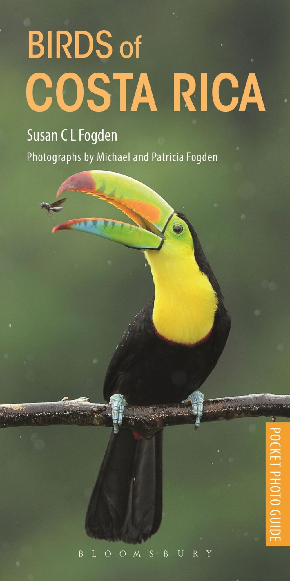 Big bigCover of Birds of Costa Rica