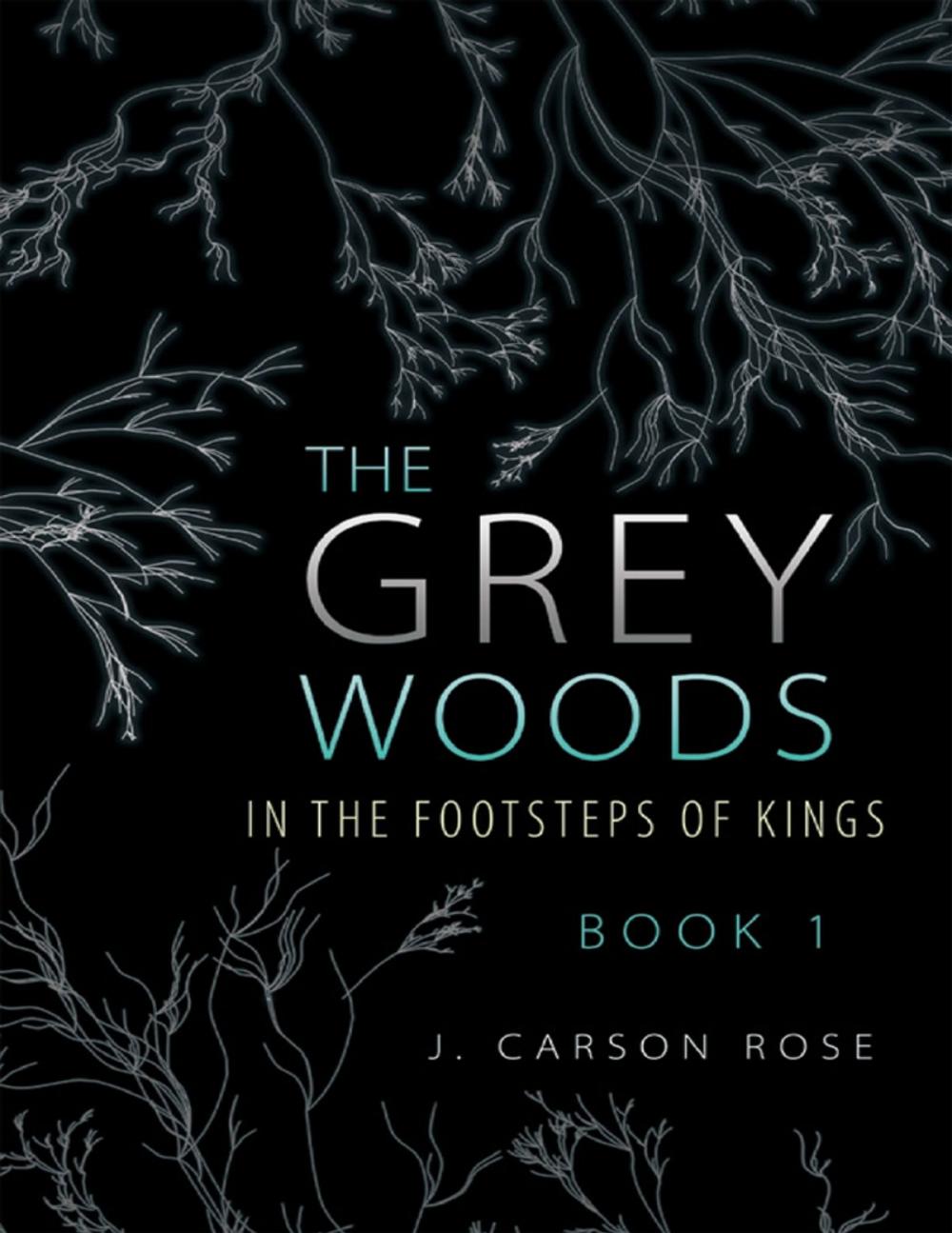 Big bigCover of The Grey Woods: Book 1 In the Footsteps of Kings