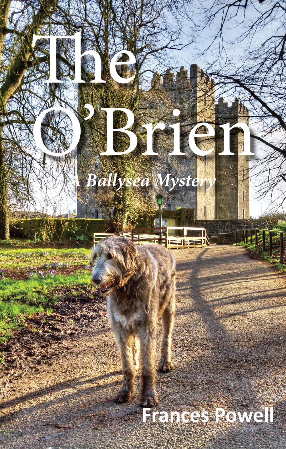 Big bigCover of The O'Brien