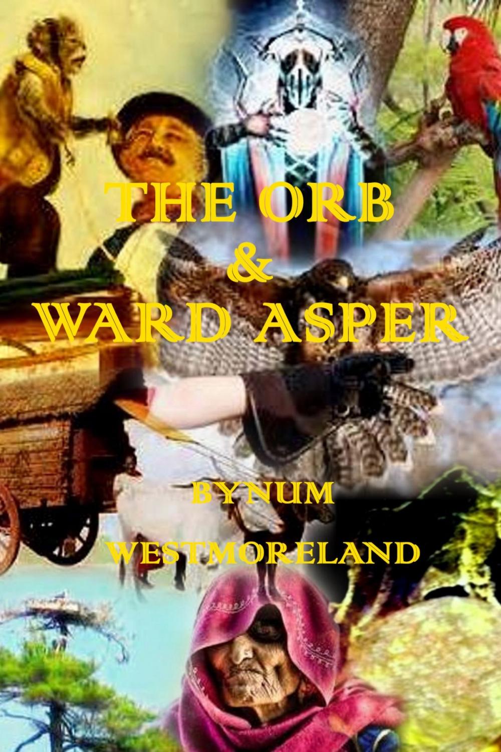 Big bigCover of The Orb & Ward Asper