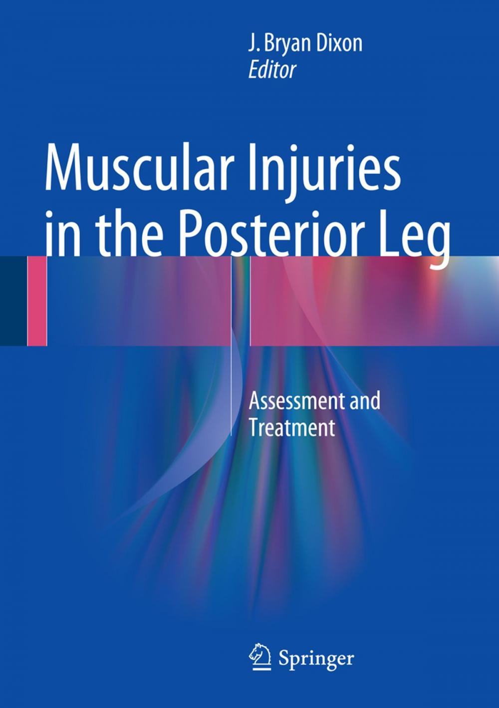 Big bigCover of Muscular Injuries in the Posterior Leg