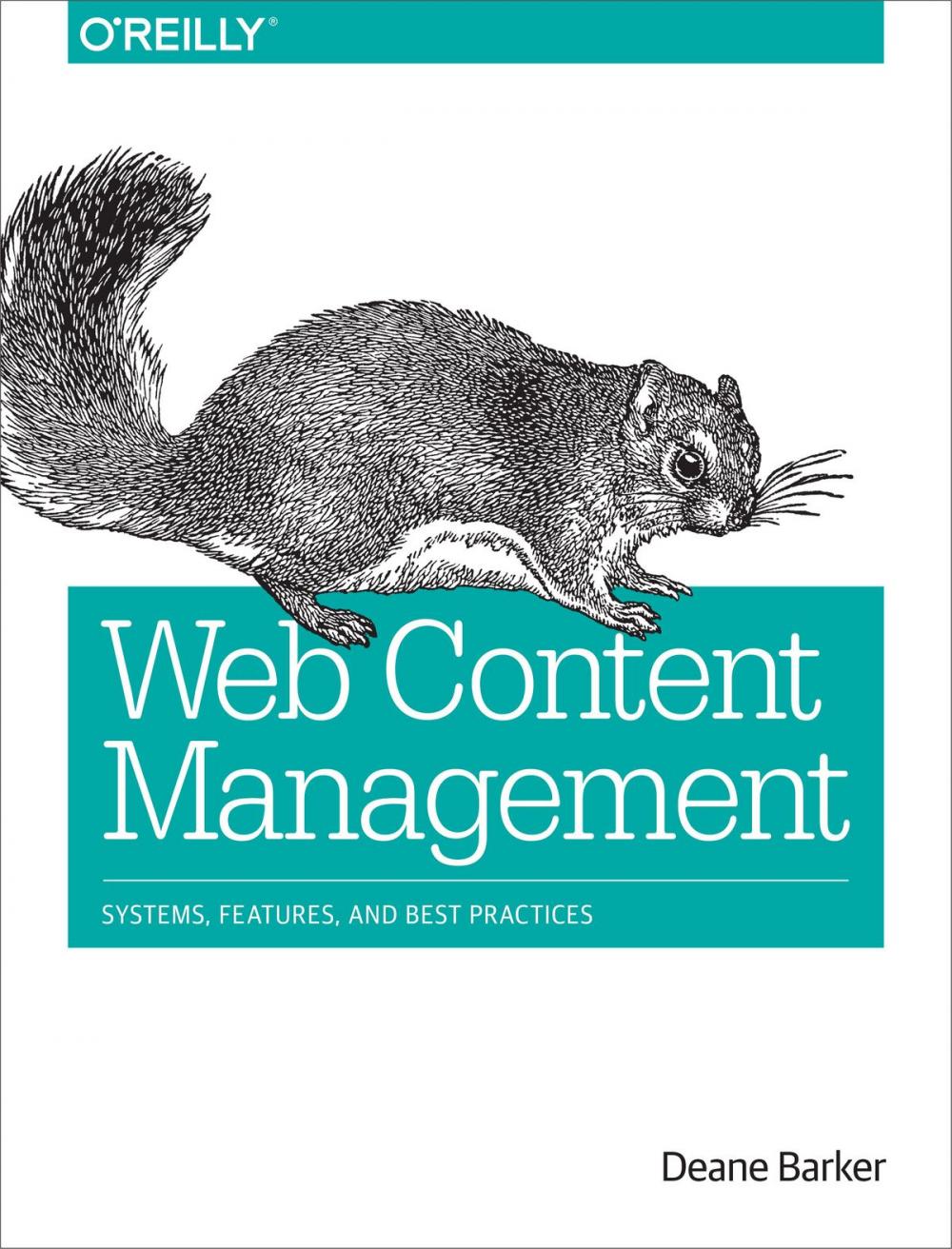 Big bigCover of Web Content Management