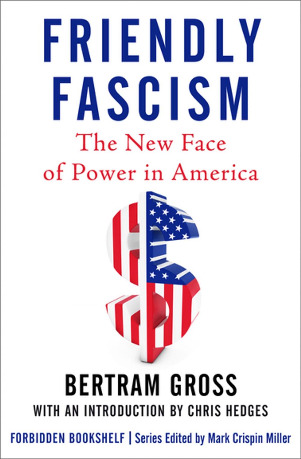 Big bigCover of Friendly Fascism