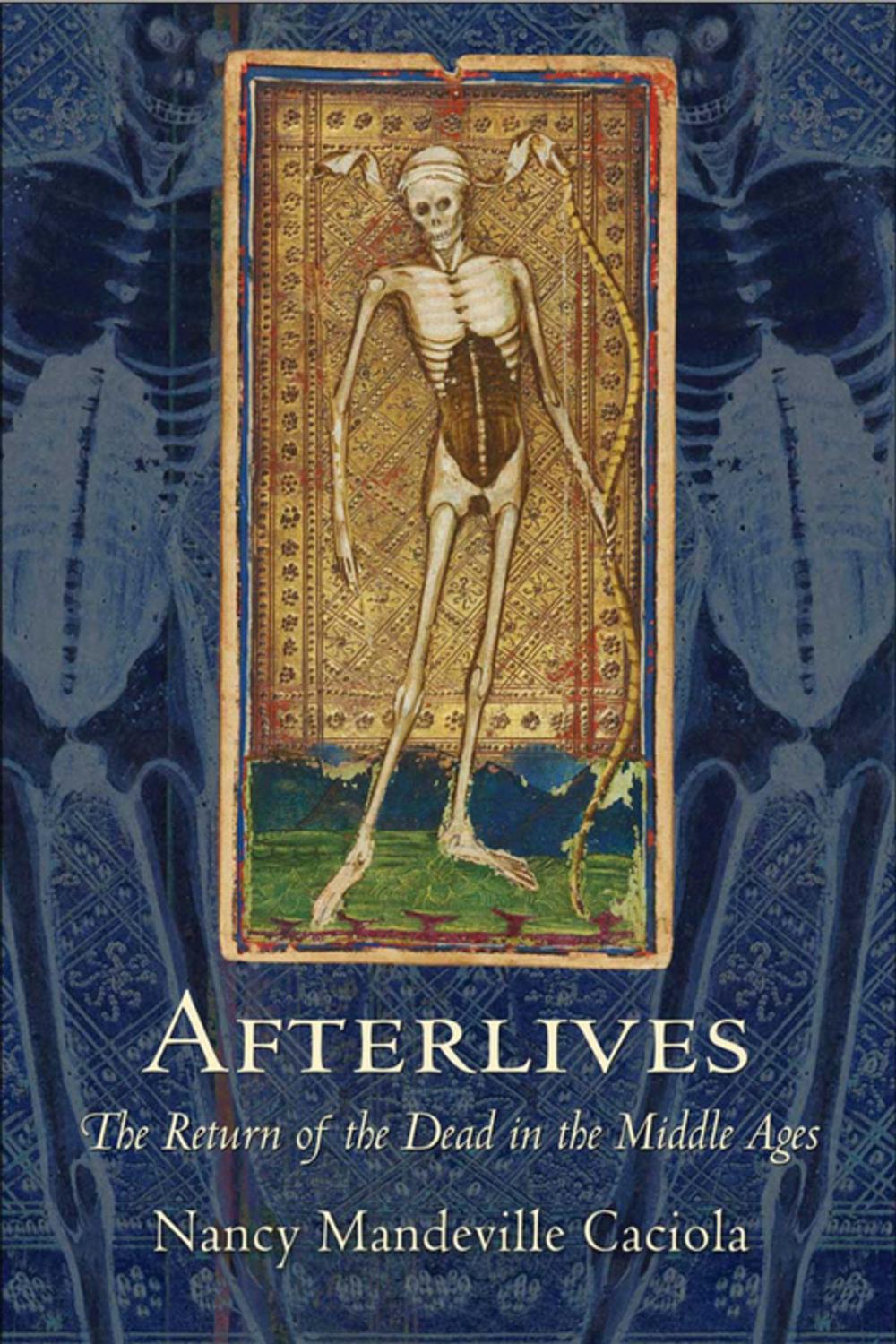 Big bigCover of Afterlives