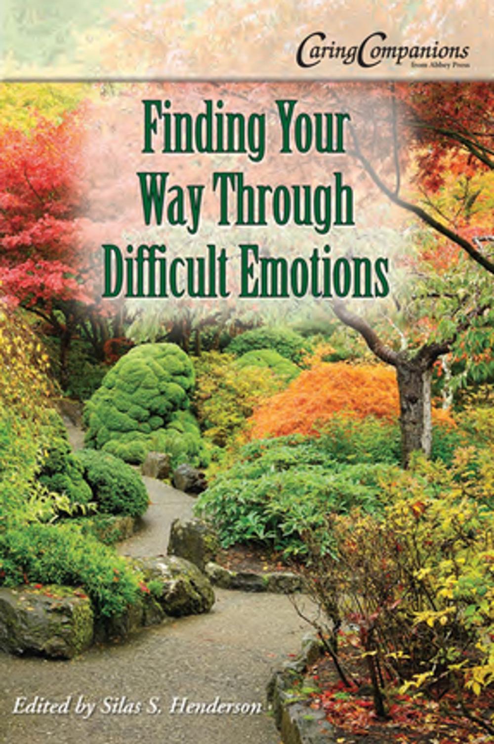 Big bigCover of Finding Your Way Through Difficult Emotions