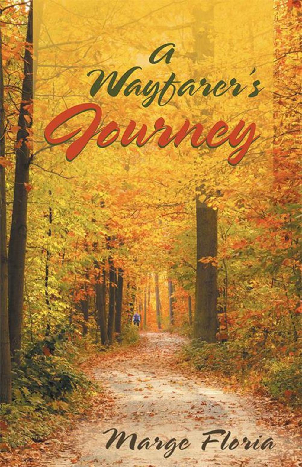 Big bigCover of A Wayfarer's Journey