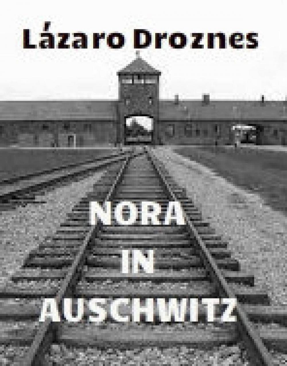 Big bigCover of Nora in Auschwitz