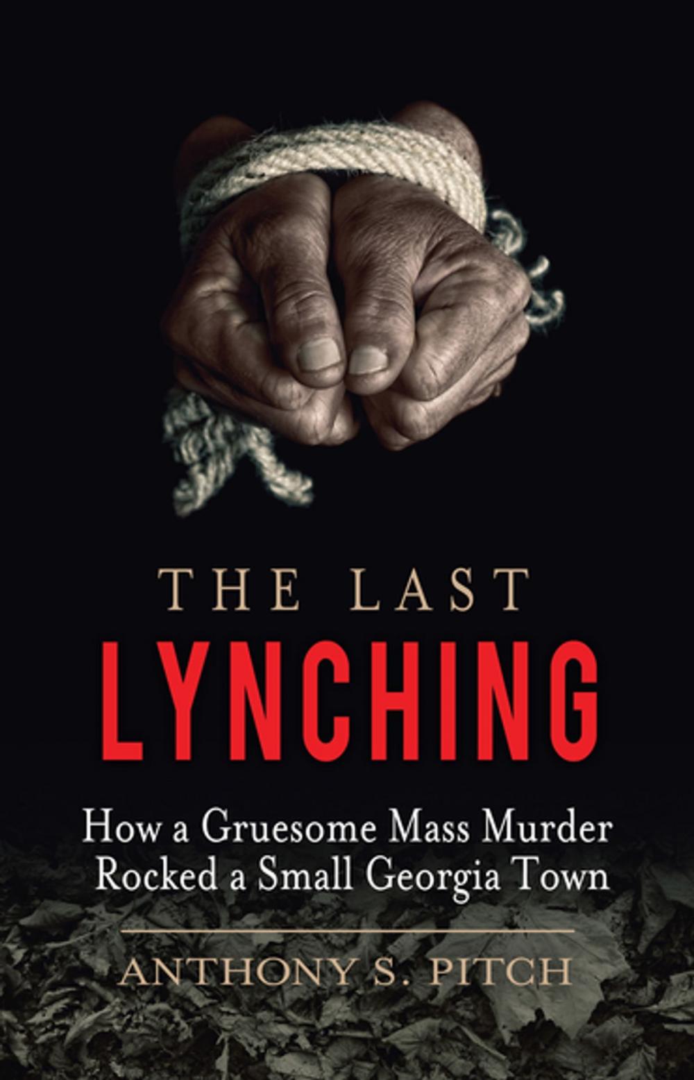 Big bigCover of The Last Lynching