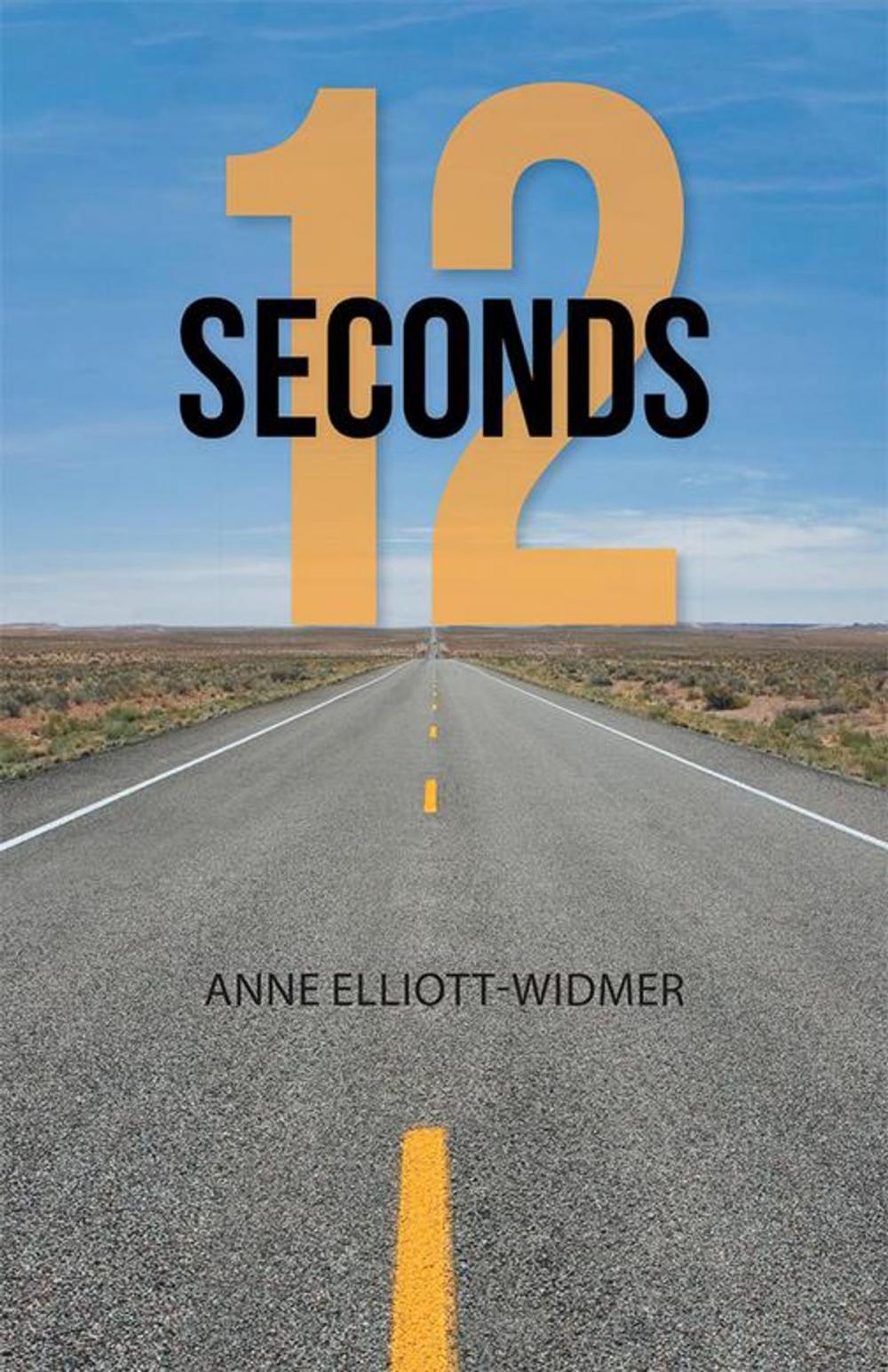 Big bigCover of 12 Seconds