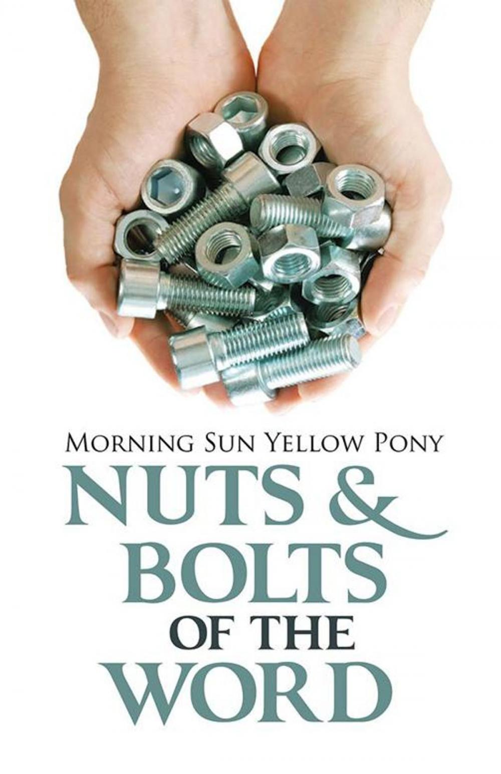 Big bigCover of Nuts & Bolts of the Word