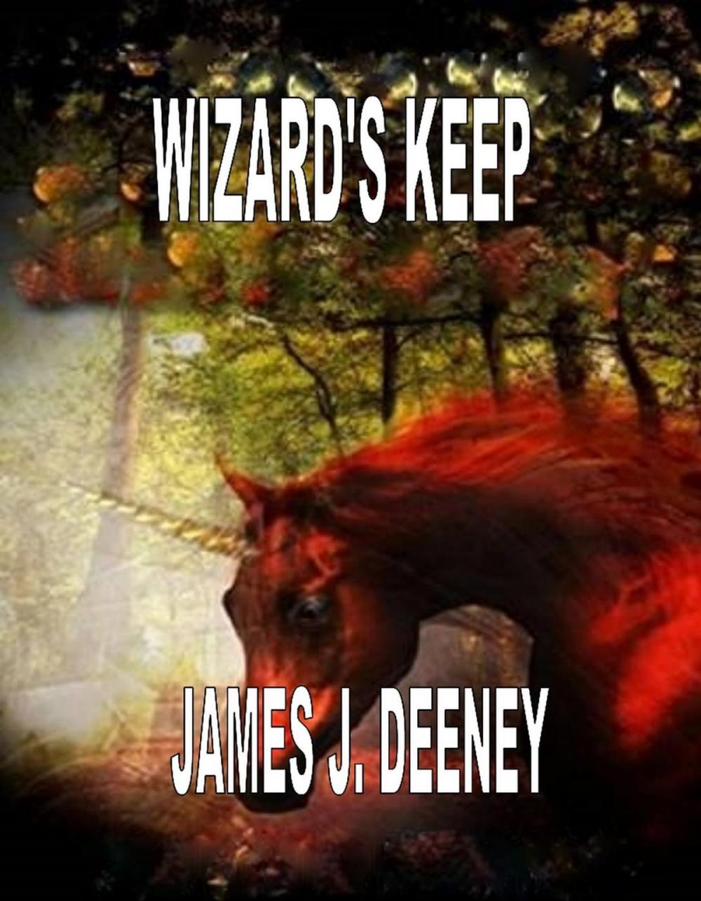 Big bigCover of Wizard's Keep