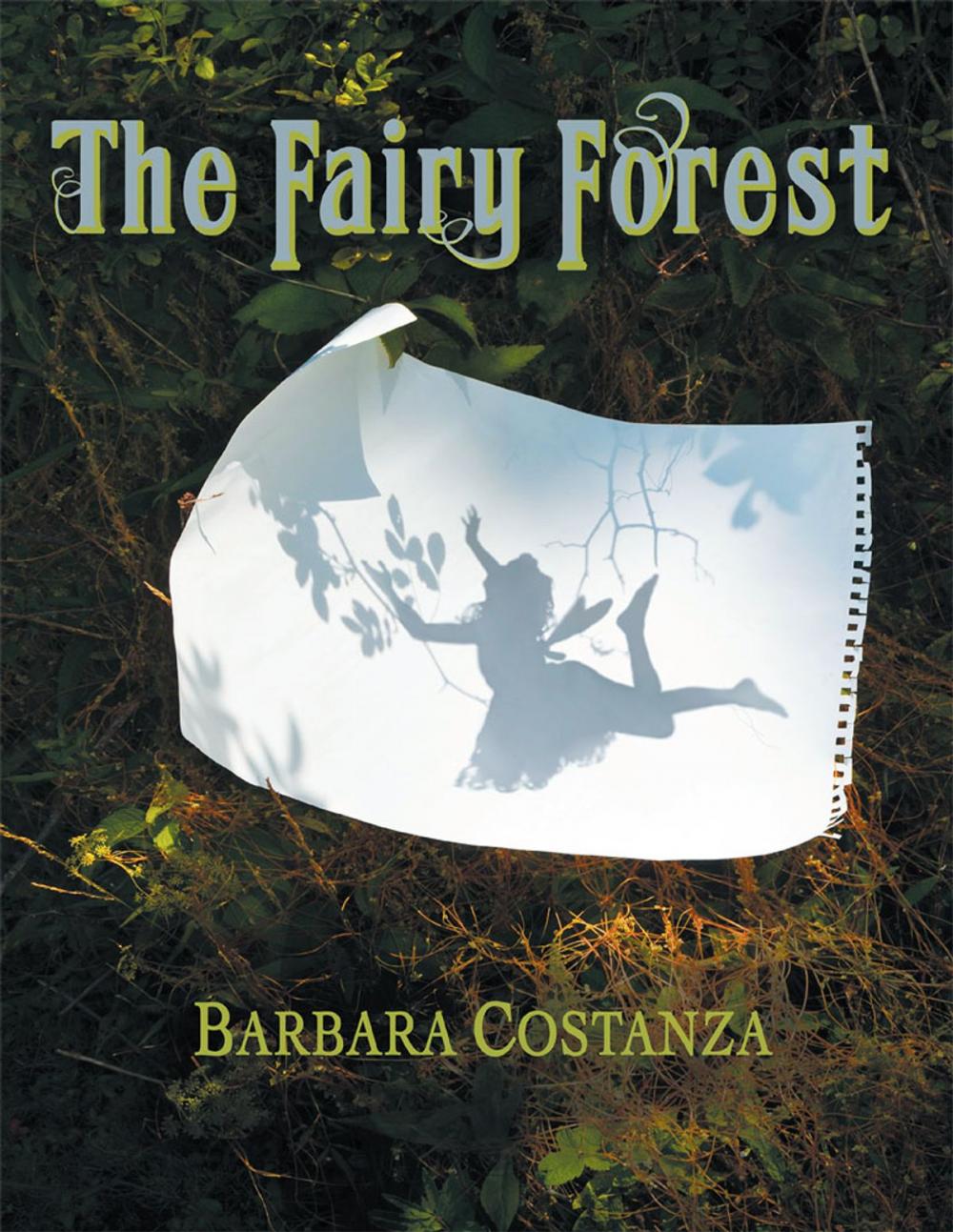 Big bigCover of The Fairy Forest