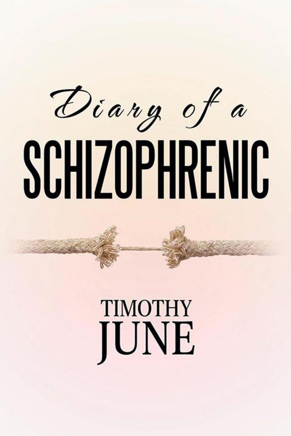 Big bigCover of Diary of a Schizophrenic