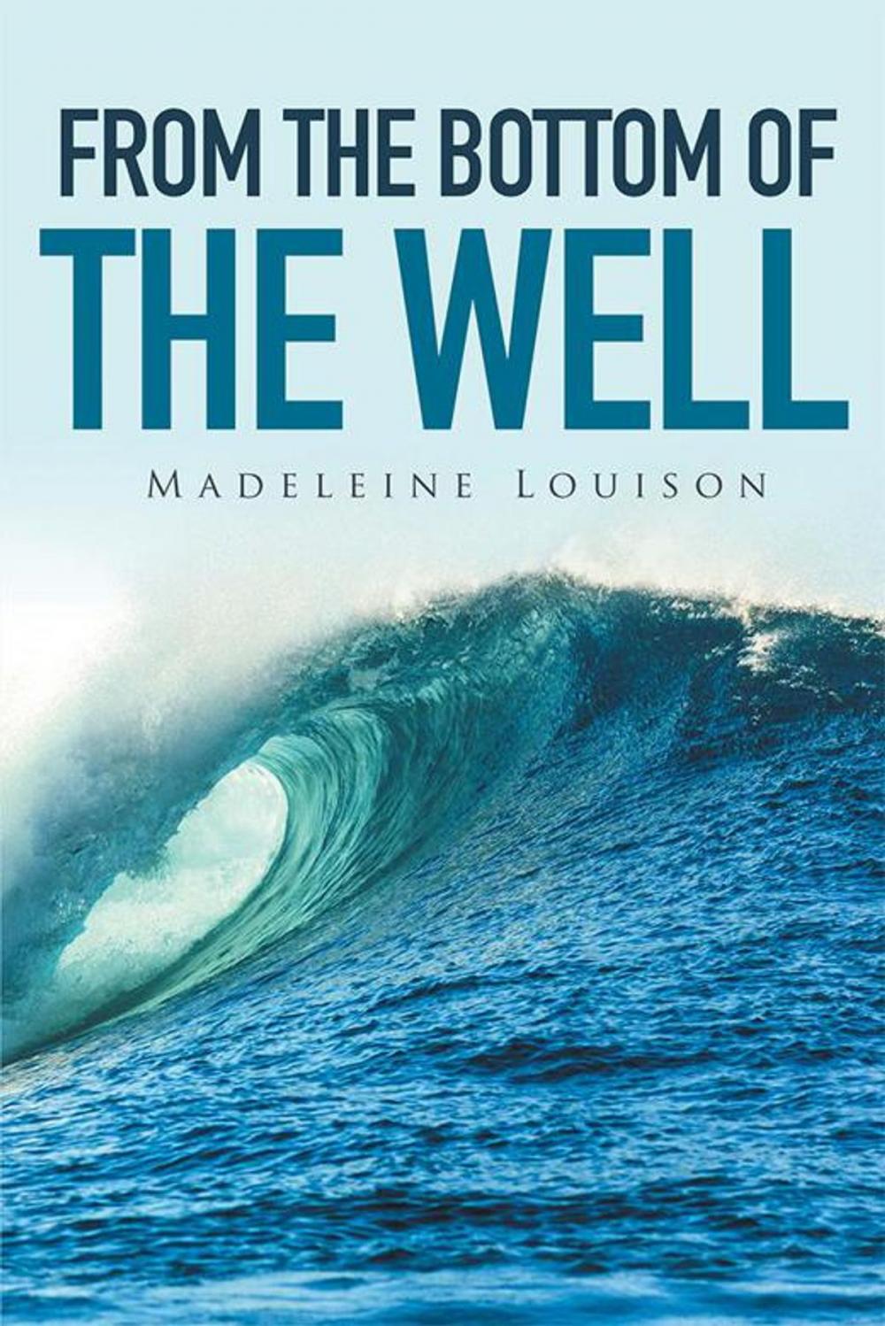 Big bigCover of From the Bottom of the Well