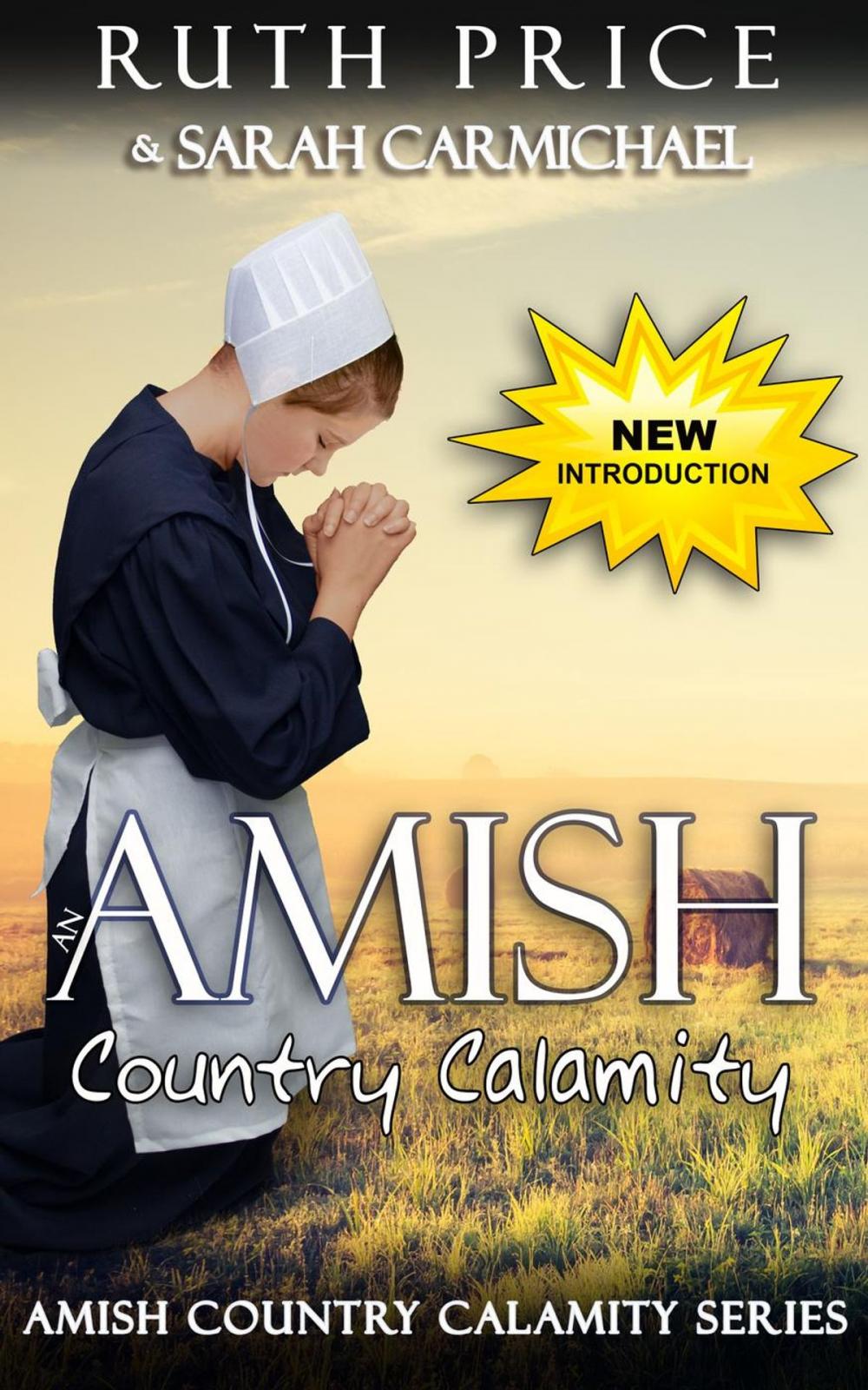 Big bigCover of An Amish Country Calamity