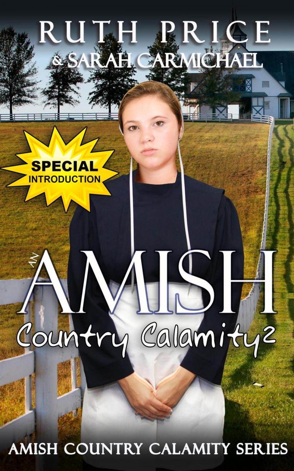 Big bigCover of An Amish Country Calamity 2