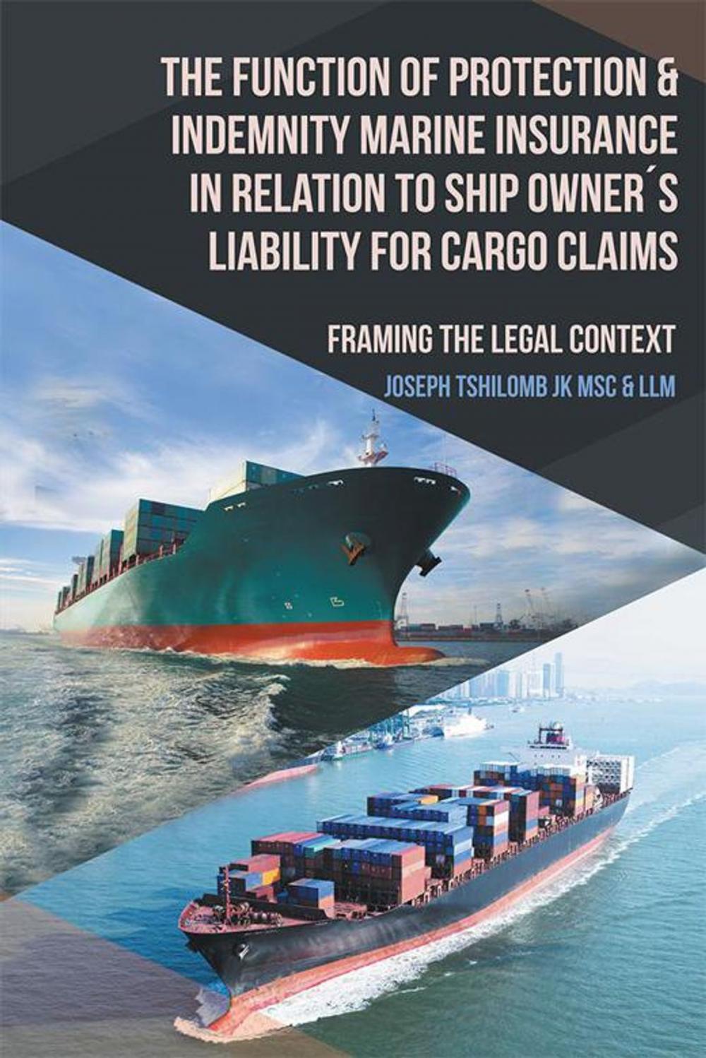 Big bigCover of The Function of Protection & Indemnity Marine Insurance in Relation to Ship Owner´S Liability for Cargo Claims