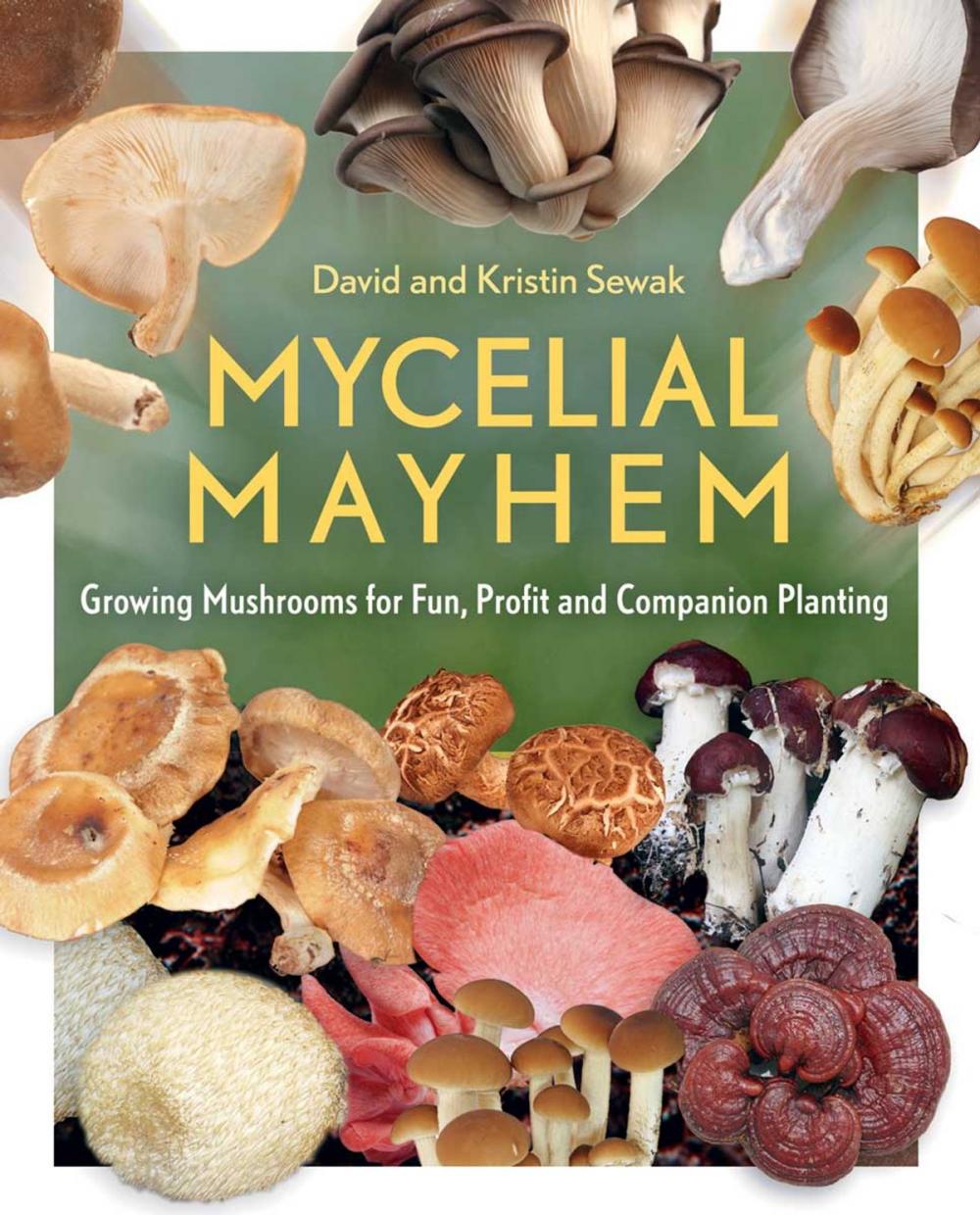 Big bigCover of Mycelial Mayhem