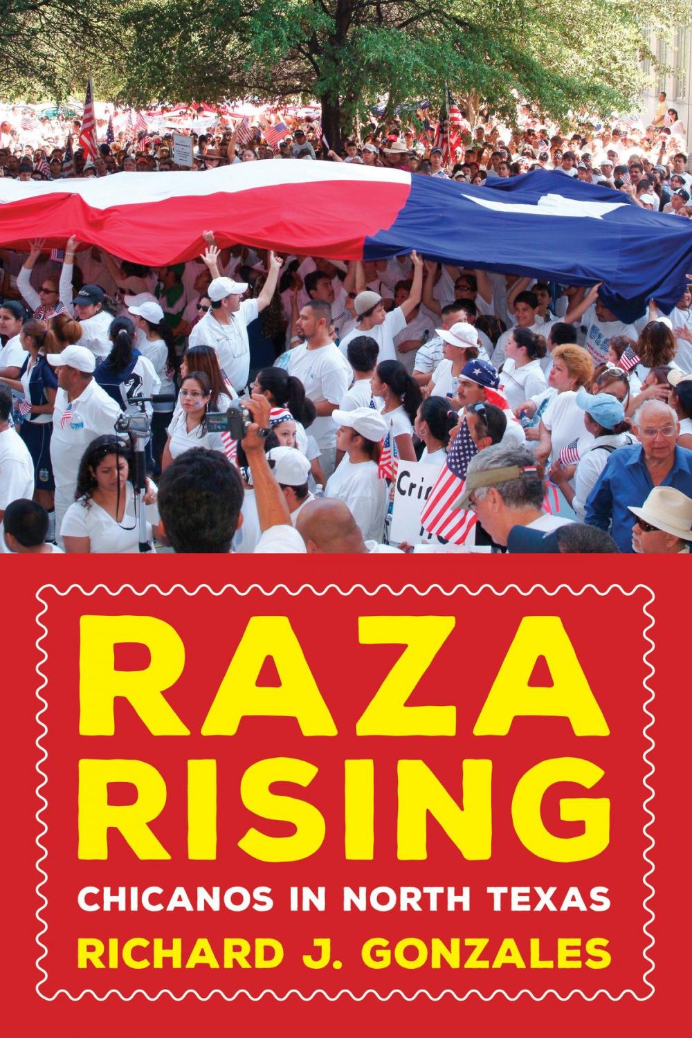 Big bigCover of Raza Rising