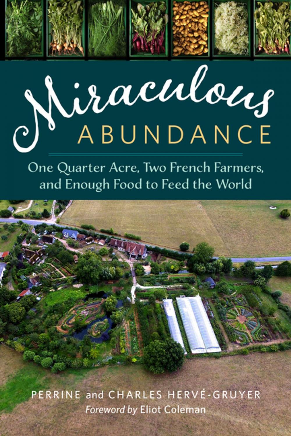 Big bigCover of Miraculous Abundance