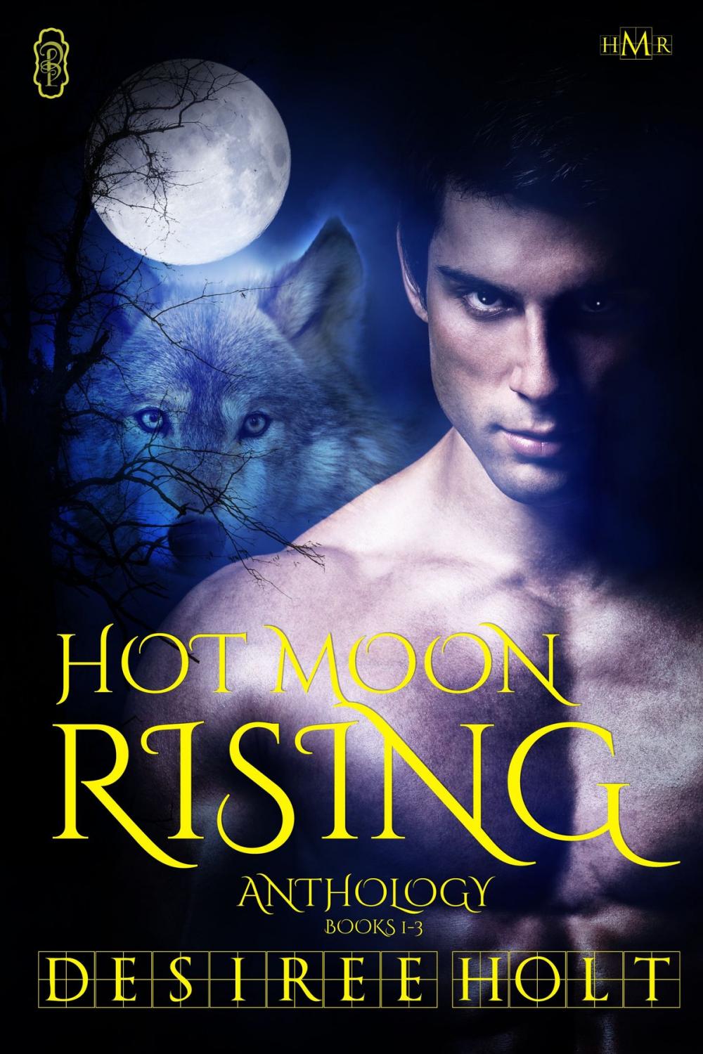 Big bigCover of Hot Moon Rising