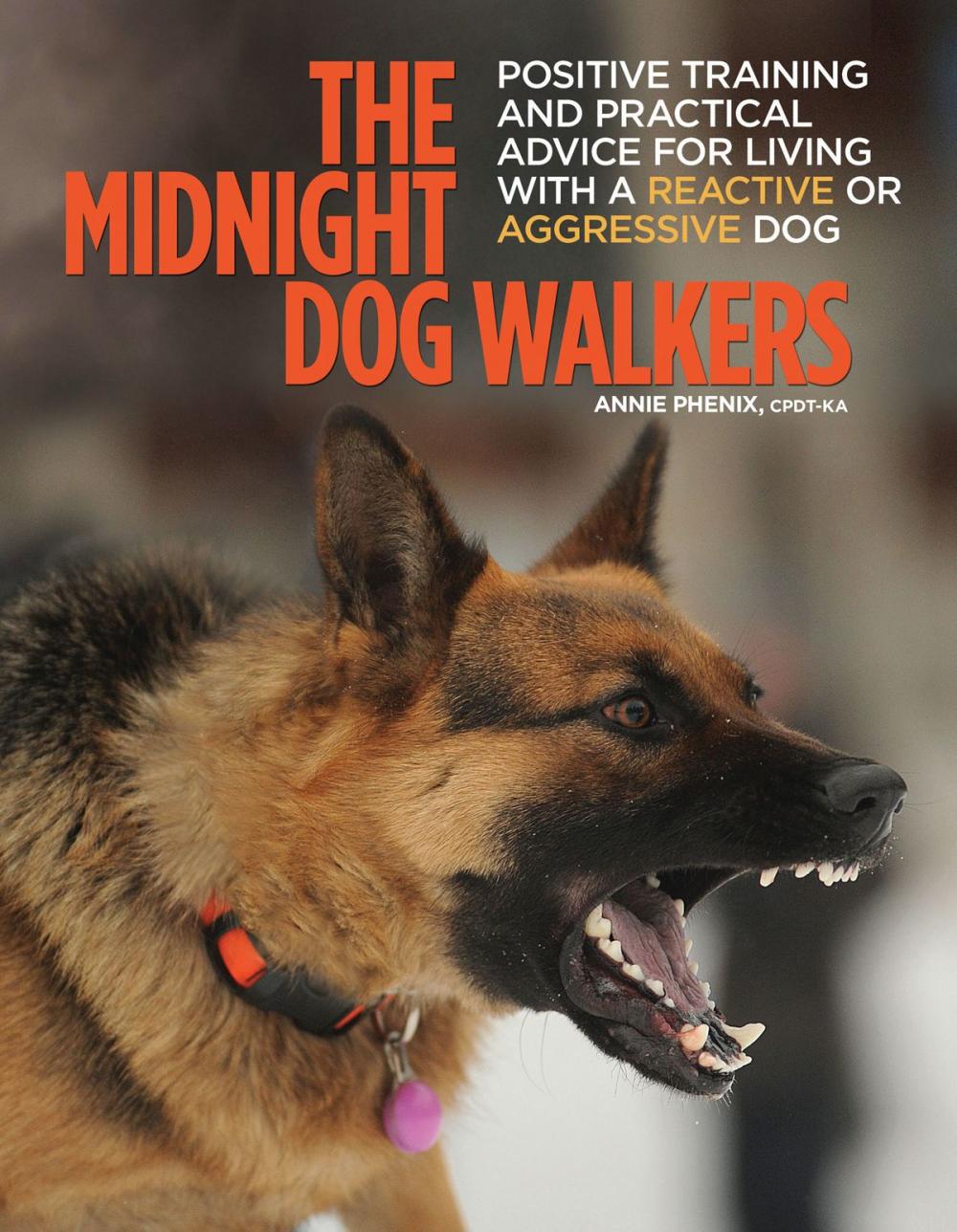 Big bigCover of The Midnight Dog Walkers