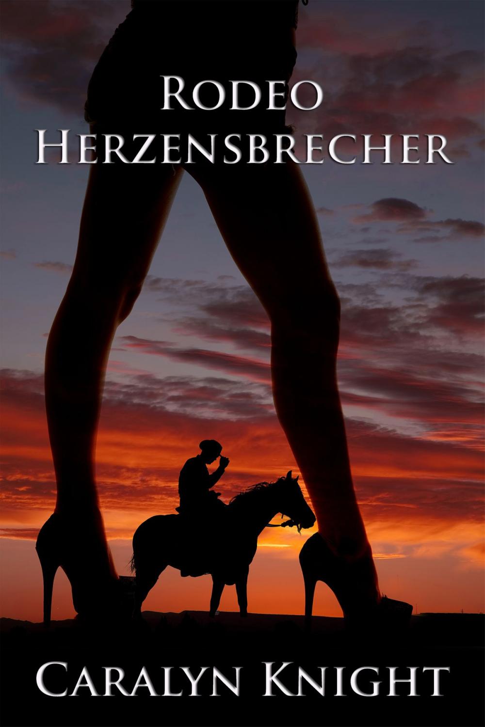 Big bigCover of Rodeo Herzensbrecher