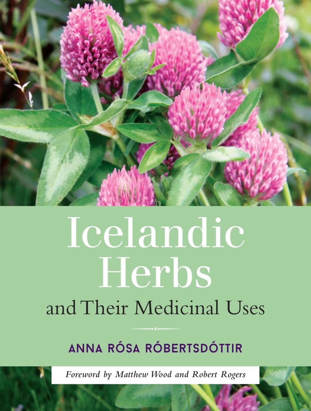 Big bigCover of Icelandic Herbs and Their Medicinal Uses