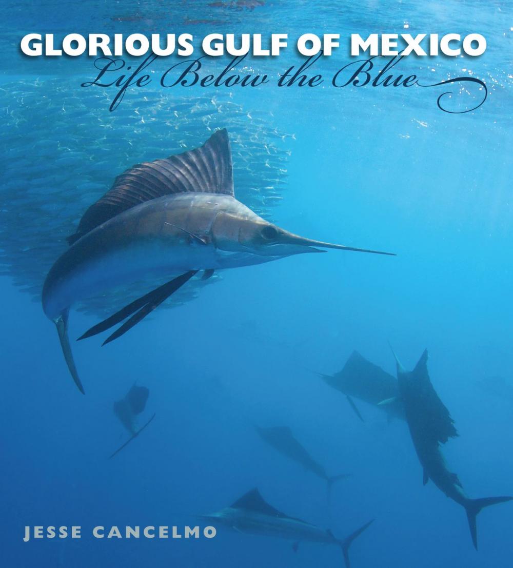 Big bigCover of Glorious Gulf of Mexico