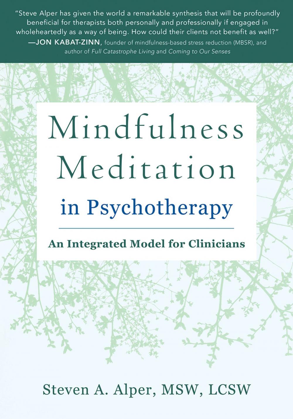 Big bigCover of Mindfulness Meditation in Psychotherapy