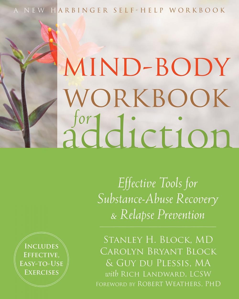 Big bigCover of Mind-Body Workbook for Addiction