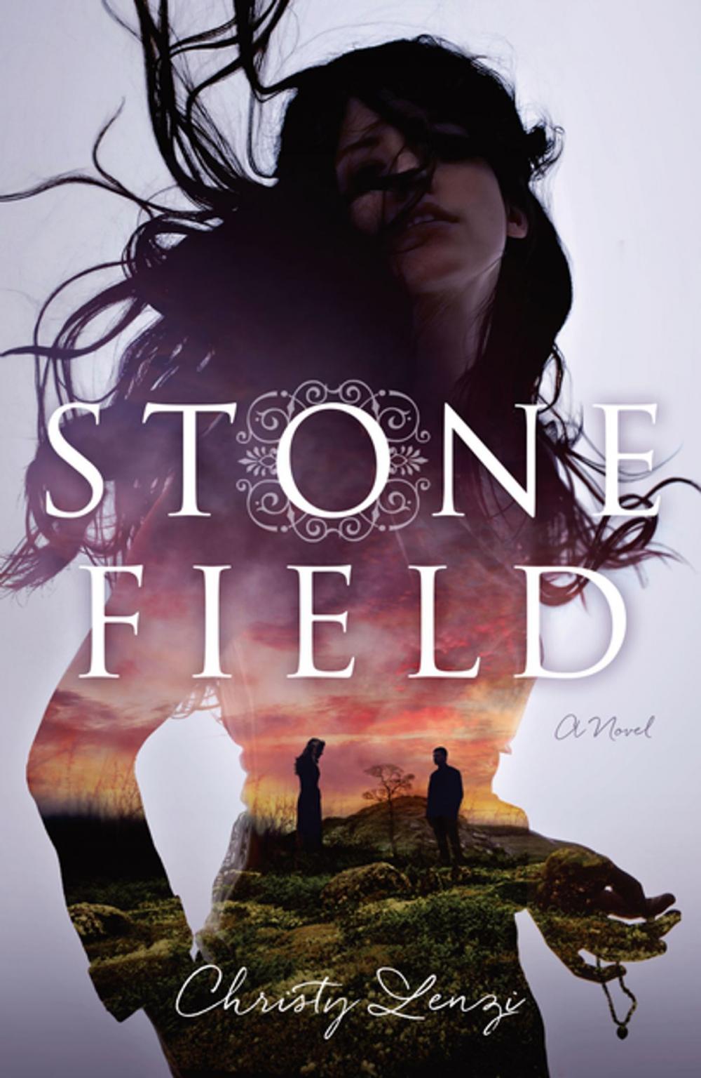 Big bigCover of Stone Field