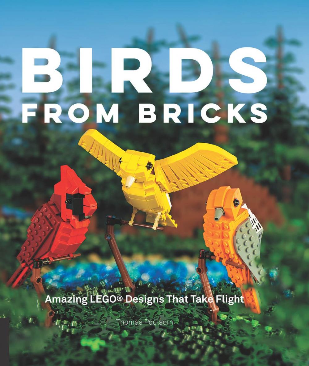 Big bigCover of Birds from Bricks