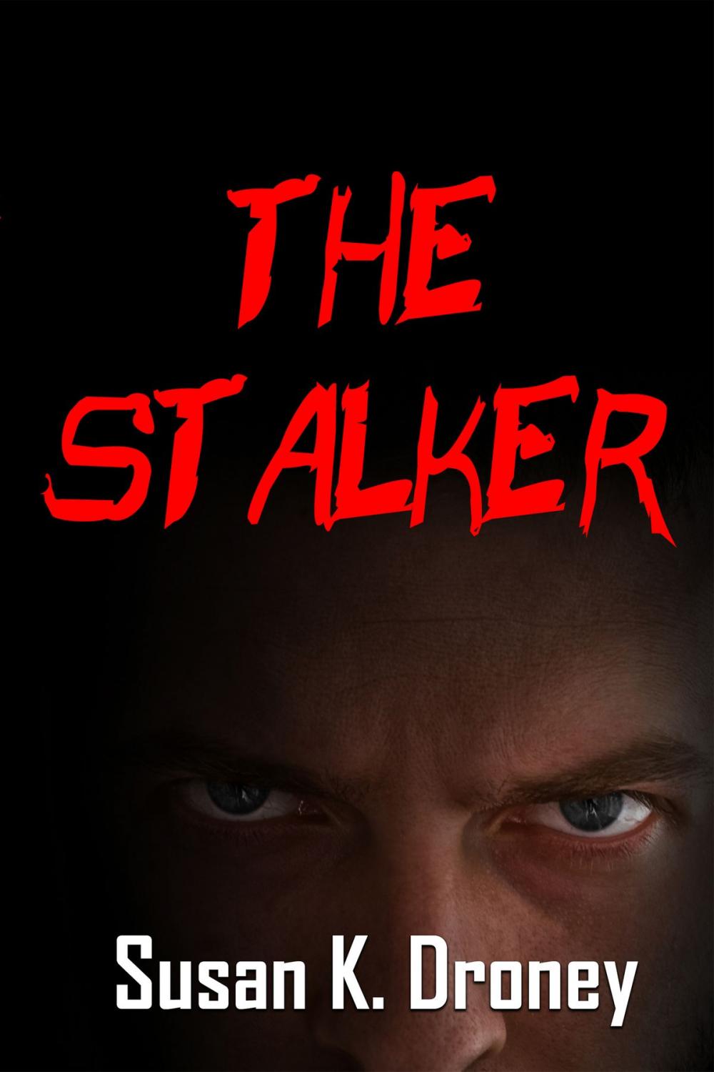 Big bigCover of The Stalker