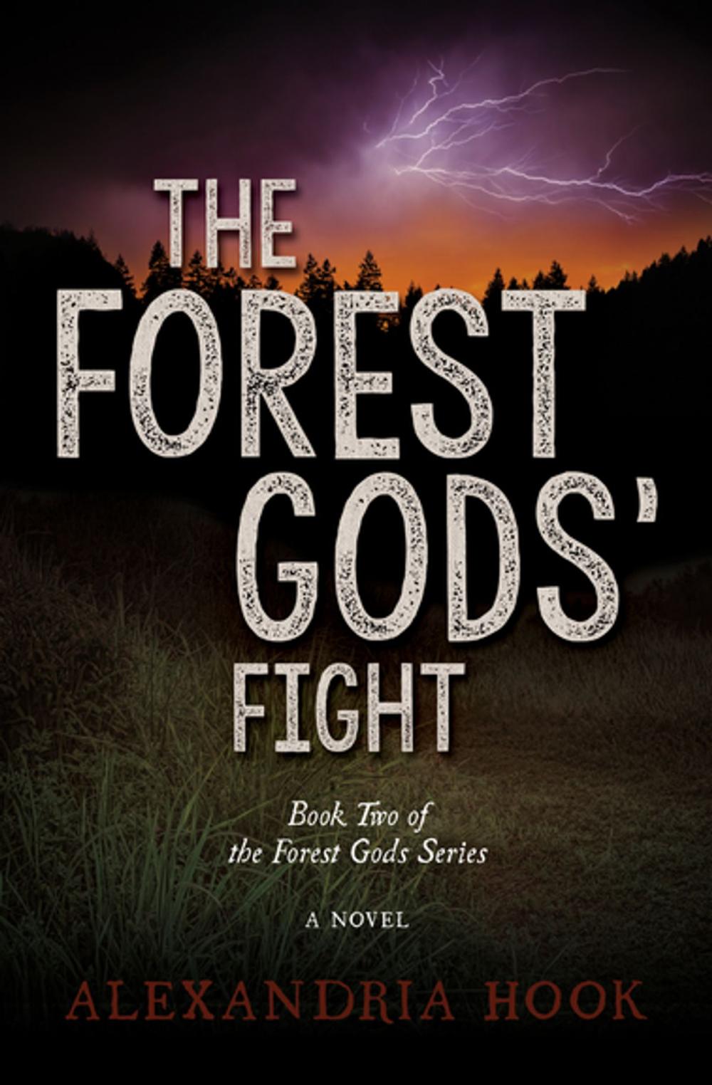 Big bigCover of The Forest Gods' Fight