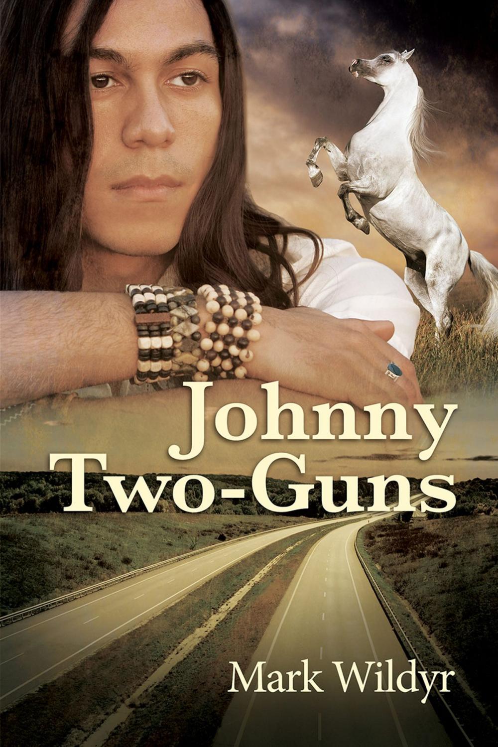 Big bigCover of Johnny Two-Guns