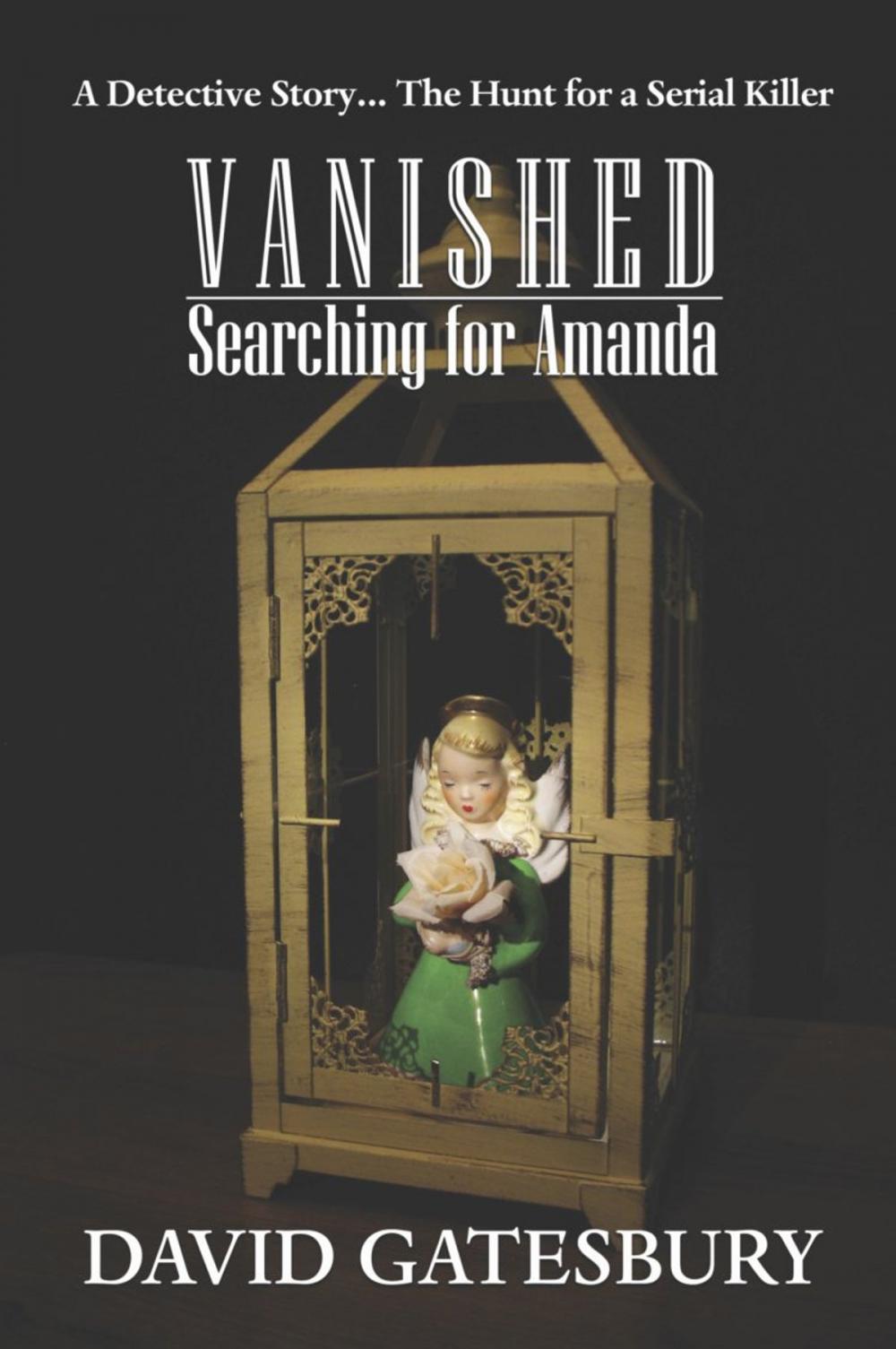 Big bigCover of Vanished: Searching For Amanda