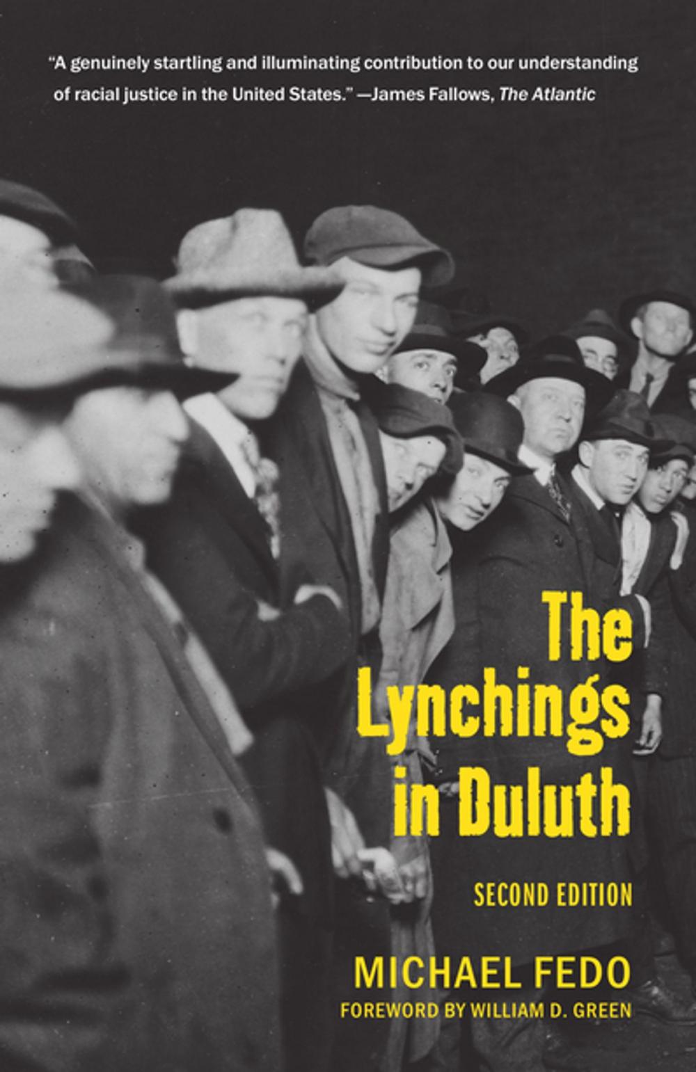 Big bigCover of The Lynchings in Duluth